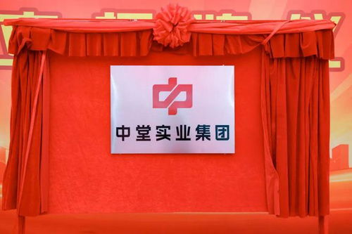 高質(zhì)量發(fā)展新征程 中堂實業(yè)集團(tuán)揭牌成立，百墩實業(yè)開啟新篇章