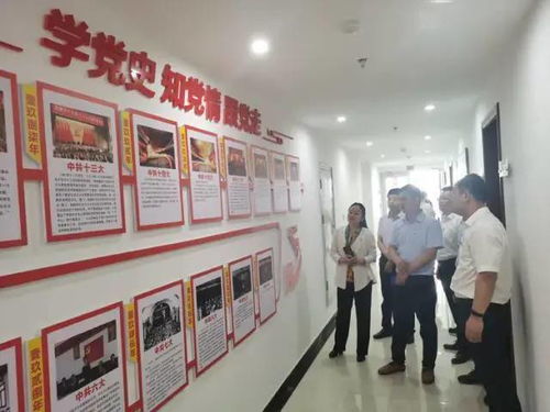 弘揚渡河精神，打造魅力孫口——臺前縣孫口鎮開展喜迎建黨百年主題黨日活動